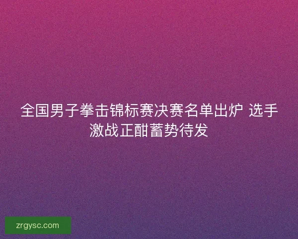 全国男子拳击锦标赛决赛名单出炉 选手激战正酣蓄势待发