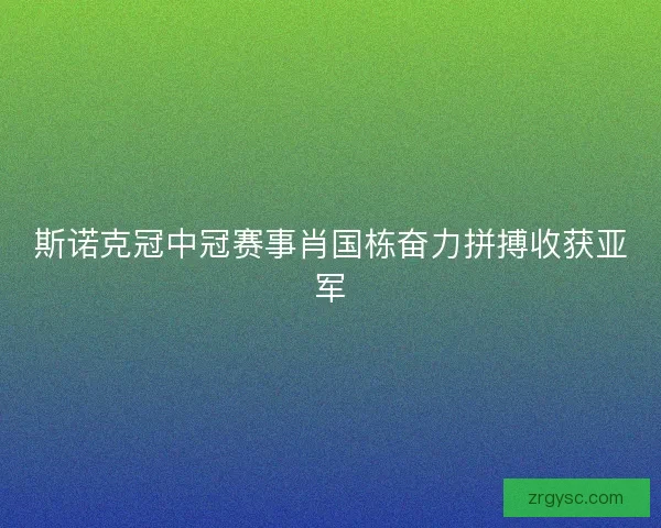 斯诺克冠中冠赛事肖国栋奋力拼搏收获亚军 斯诺克冠中冠赛事肖国栋奋力拼搏收获亚军